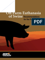 Swine Euthanasia