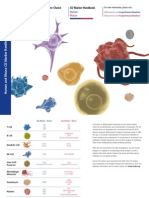 CD Markers Handbook