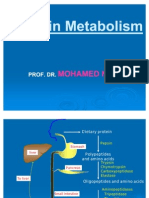 Protein Metabolism and Acids SamyA1