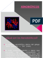 XENOBIOTICOS