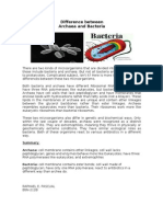 Difference Between Archaea and Bacteria