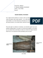 Diseccion Region Femoral Posterior - Karen Lopez