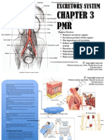 Chapter 3 - Excretion