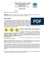 Taller No 008 Division Celular Meiosis