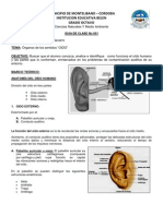 Taller No 001 Organos de Los Sentidos Oido