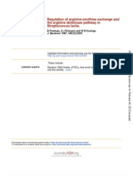 The Arginine Deiminase Pathway in Regulation of Arginine-Ornithine Exchange and