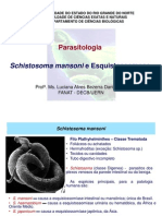 S Schistosoma Mansoni e Esquistosomose