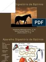 Anato - Aparelho Digestório de Eqüinos