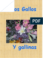 Humor, Loros, Gallos, Gallinas, Angelatedo