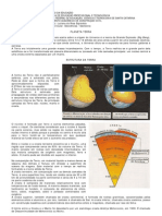 Texto 02 - Formação Da Terra