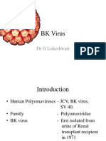 BK Virus 97 - 2003