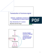 Transduction of Hormone Signal: Detection, Amplification of External Signals and Generation of Cellular Response