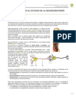 1 - Introducción Al Estudio de La Neuroanatomía