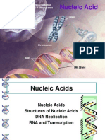 Nucliec Acid