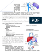 Hipertensión Portal Resumen