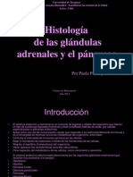 Histología de Las Glándulas Adrenales y El Páncreasf