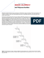 Dextran and Related Polysaccharides