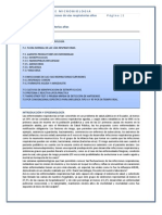 PRACTICA 7 Enfermedades RESPIRATORIAS