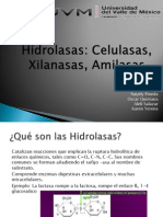 Hidrolasas