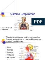 Anatom - A Del Sistema Respiratorio