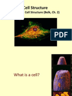 Lesson 4: Cell Structure (Belk, Ch. 2)