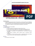 Citologia de Moco Fecal