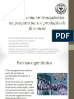 O Uso de Animais Transgênicos Na Pesquisa para Produção de Fármacos