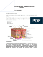 Anatomía y Fisiología de La Piel y Anexos