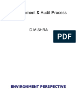 Environment & Audit Process: D.Mishra