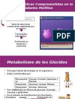 Rutas Metabolicas en Diabetes