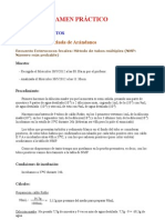 Informe Examen Práctico