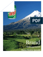 Strategic Brand Management Kevin Keller Mountain Dew Case Analysis