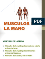 Musculos de La Manos