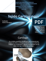 Tejido Cartilaginoso  