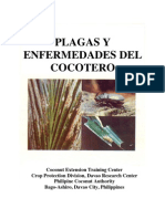 Plaga y Enfermedades Del Cocotero