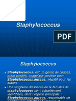 Le Staphylococcus