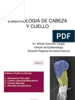 Embriologia de Cabeza y Cuello