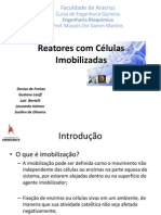 Reatores Com Células Imobilizadas