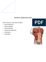 Anterior Abdominal Wall