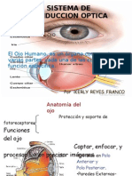 Sistema de Conduccion Optica