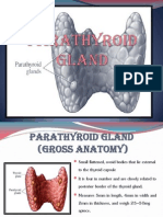 Parathyroid Gland