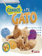 CONOCE A TU GATO