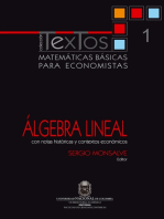 Matemáticas básicas para economistas. Vol. 1. Álgebra lineal (Con notas históricas y contextos económicos)