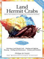 Land Hermit Crabs