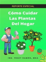 Cómo Cuidar las Plantas del Hogar