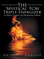 The ‘Mystical’ Tcm Triple Energizer: Its Elusive Location and Morphology Defined