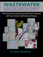 Wastewater Microbiology, Filamentous Bacteria Morphotype Identification Techniques, and Process Control Troubleshooting Strategies