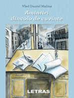 Amintiri Dincolo De Cuvinte