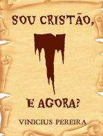 Sou Cristão, E Agora?