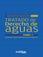 Tratado de derecho de Aguas. Tomo 1